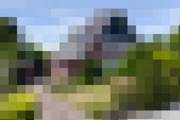 Zandweg 47 Wijk bij Duurstede thumbnail 49