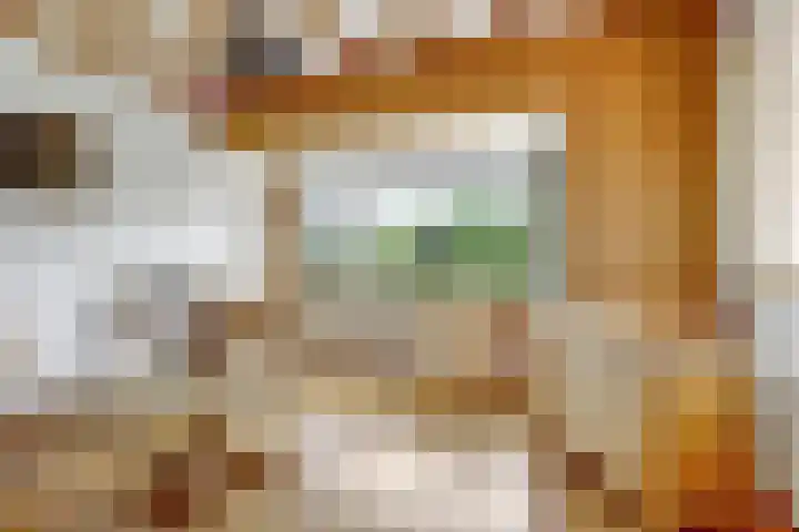 Zandweg 47 Wijk bij Duurstede thumbnail 5