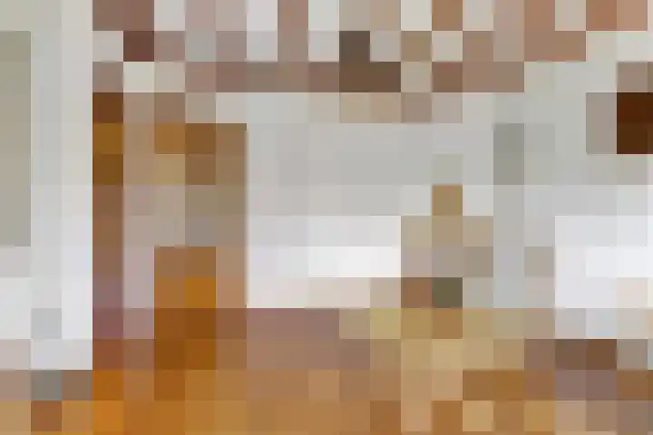 Zandweg 47 Wijk bij Duurstede thumbnail 7