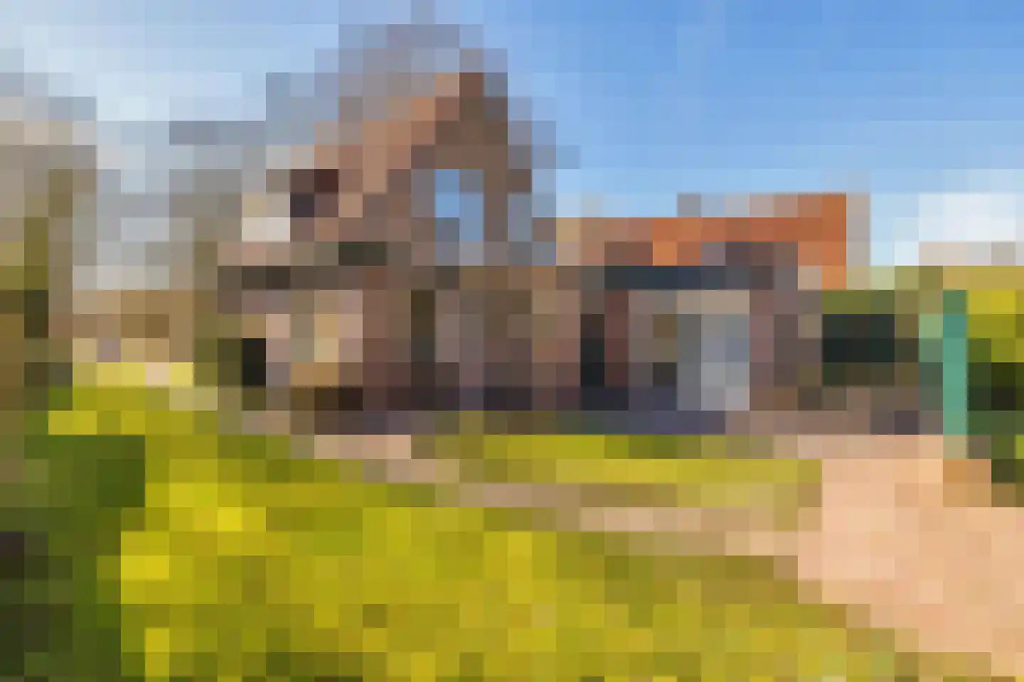 Zandweg 58 Oostvoorne thumbnail 30