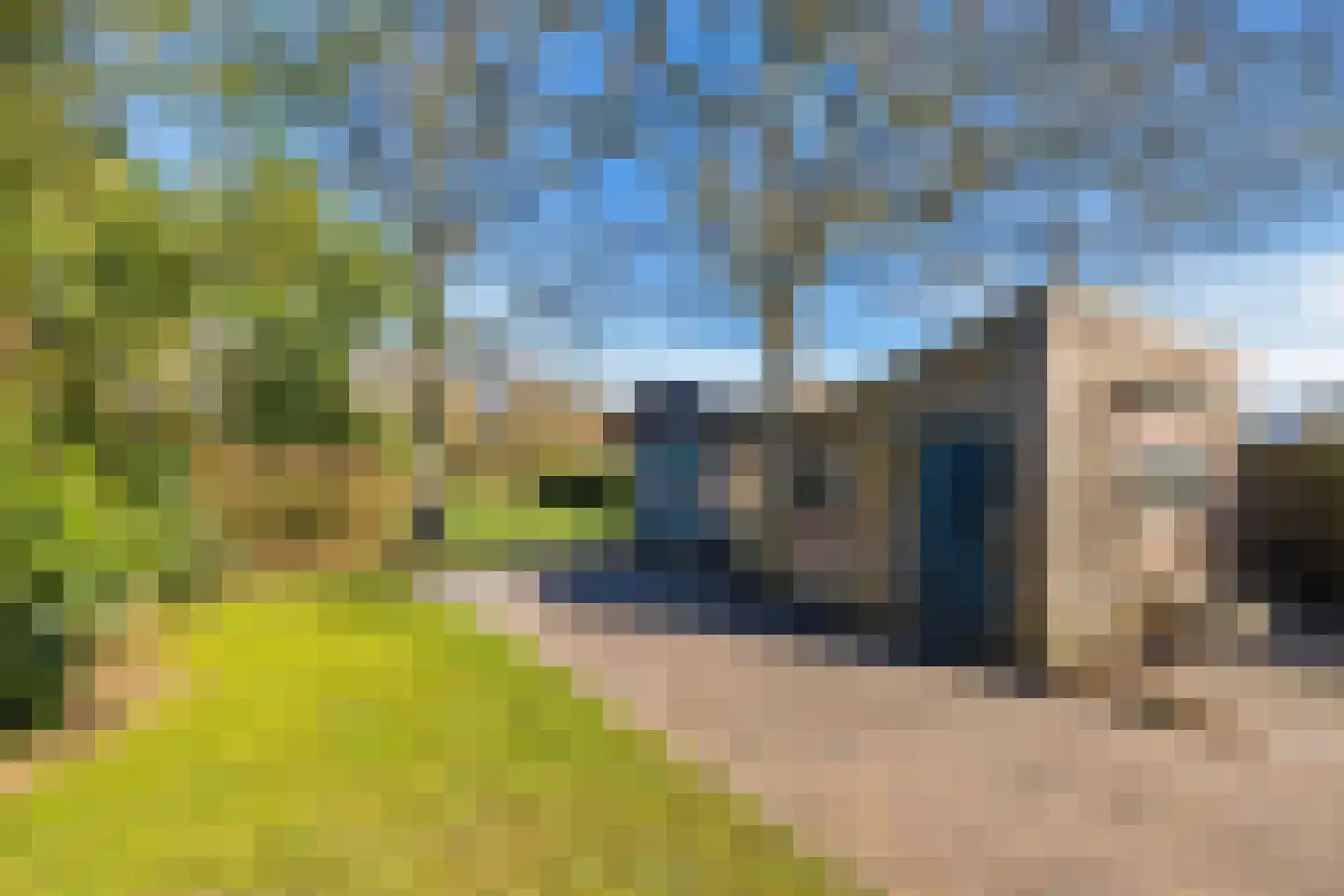Zandweg 58 Oostvoorne thumbnail 32
