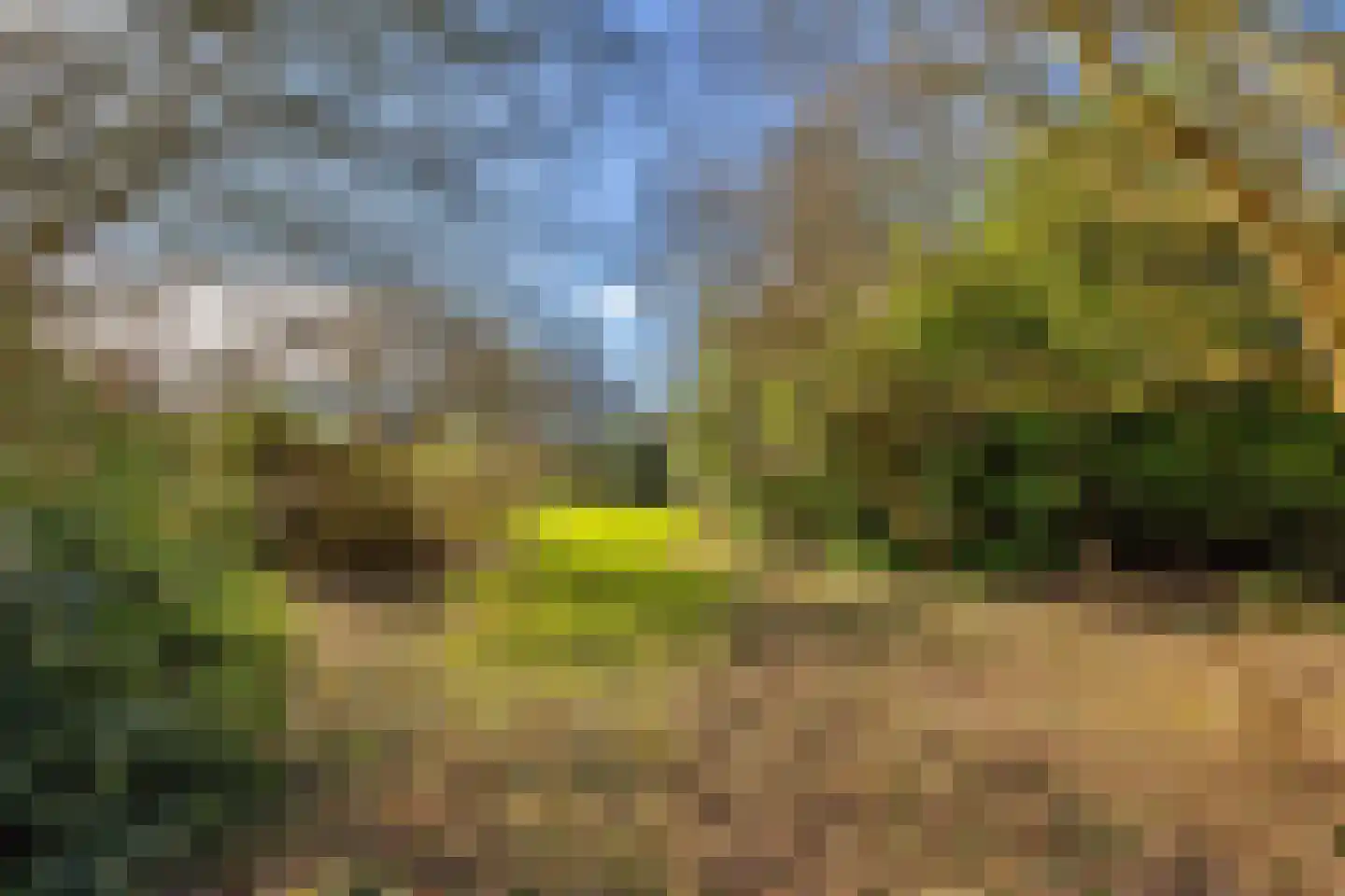 Zandweg 58 Oostvoorne thumbnail 34
