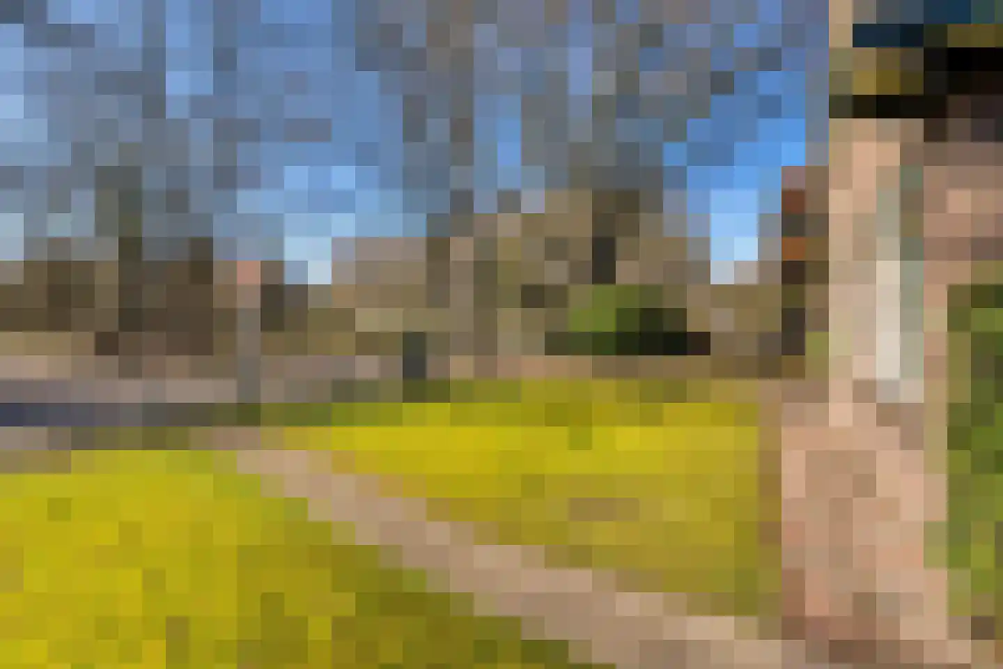 Zandweg 58 Oostvoorne thumbnail 36