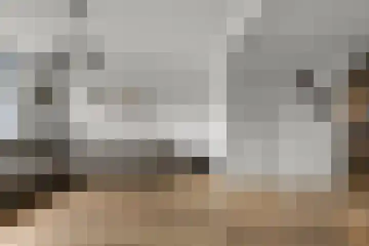 Zandweg 68 Wormer thumbnail 4