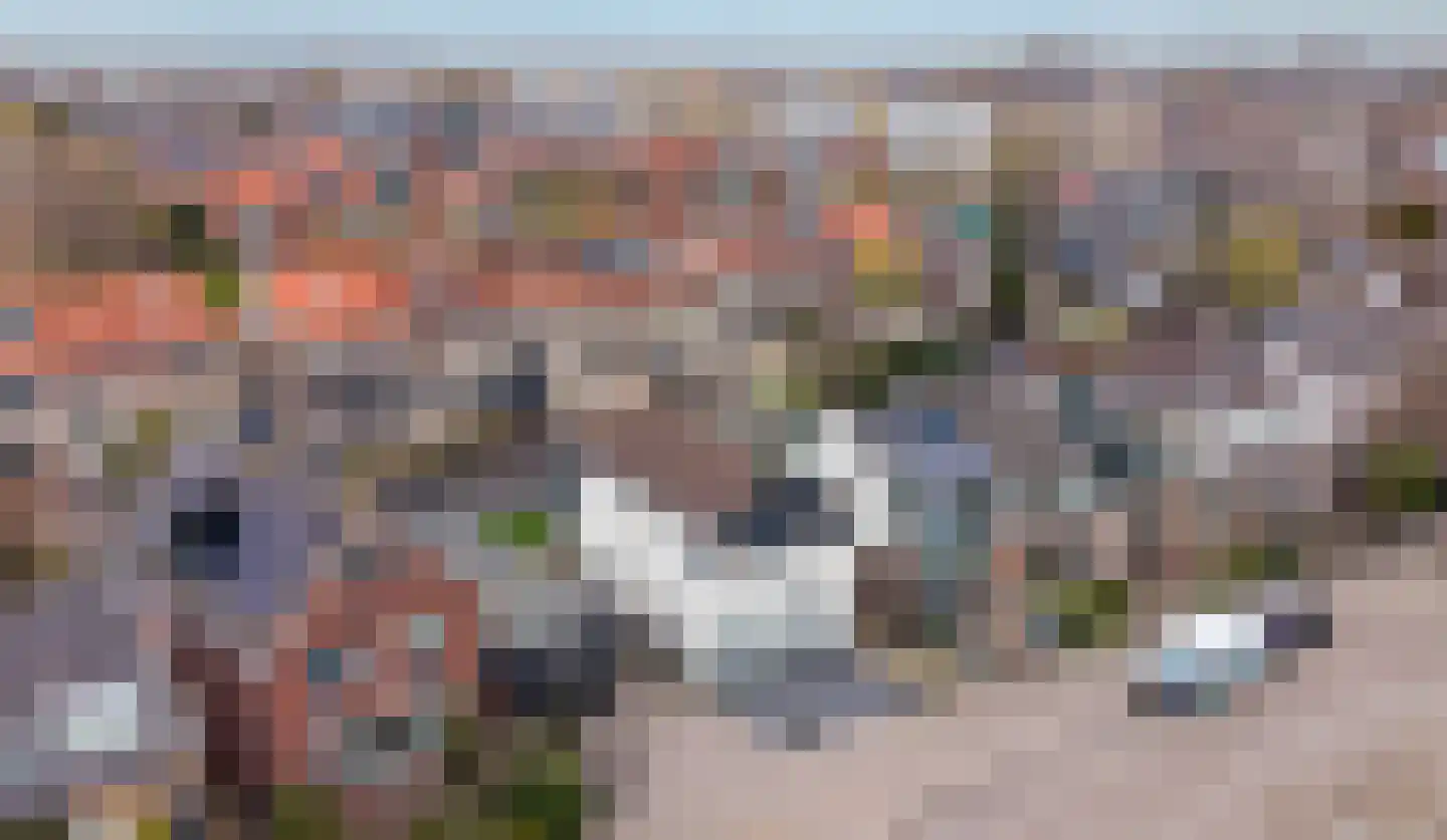 Zandweg 70 Wormer thumbnail 4