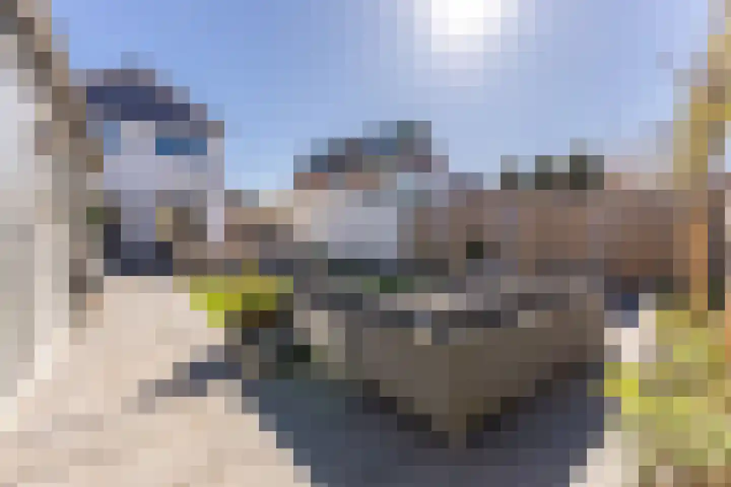Zandweg 70 Wormer thumbnail 5