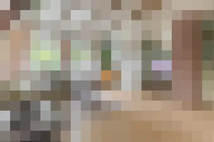 Zandweg 84 Wormer thumbnail 10