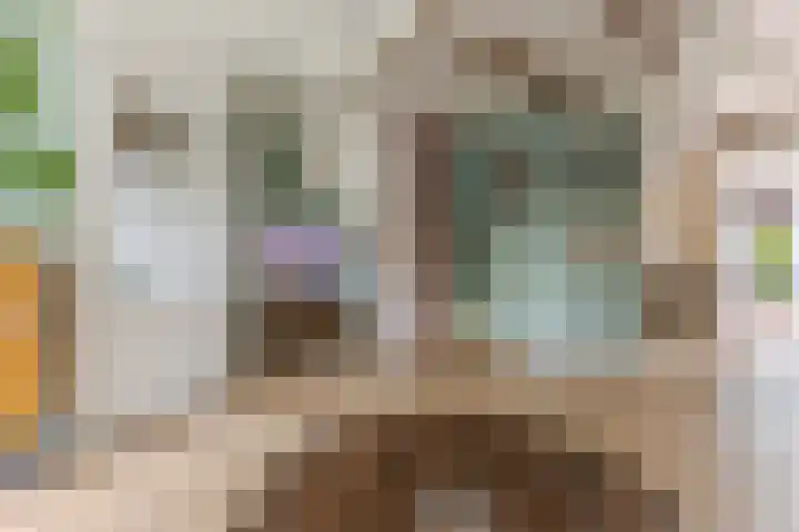 Zandweg 84 Wormer thumbnail 11