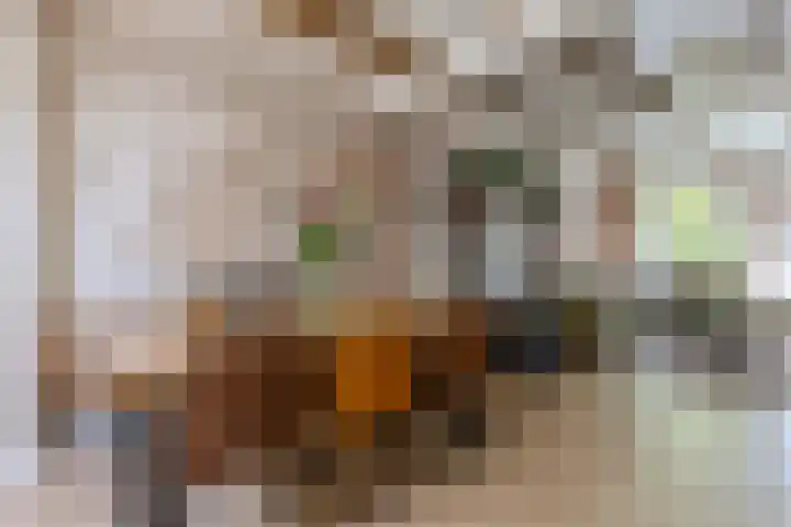 Zandweg 84 Wormer thumbnail 13