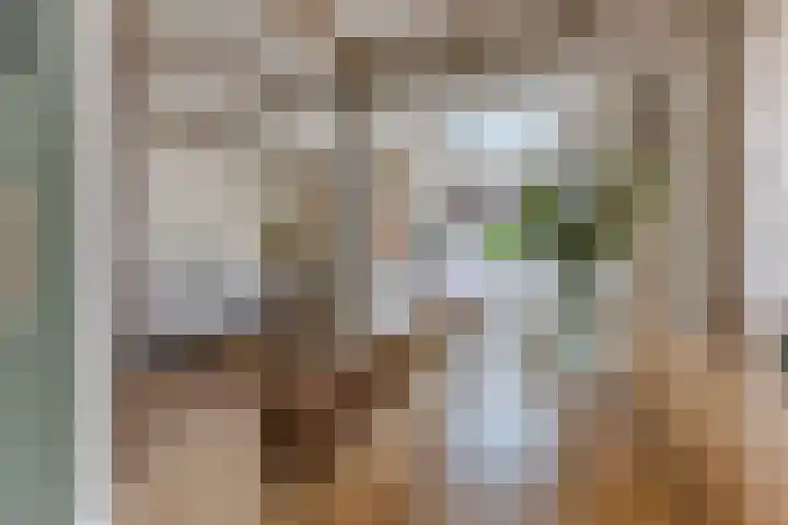 Zandweg 84 Wormer thumbnail 14