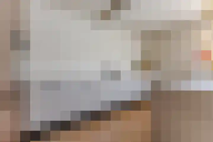 Zandweg 84 Wormer thumbnail 15