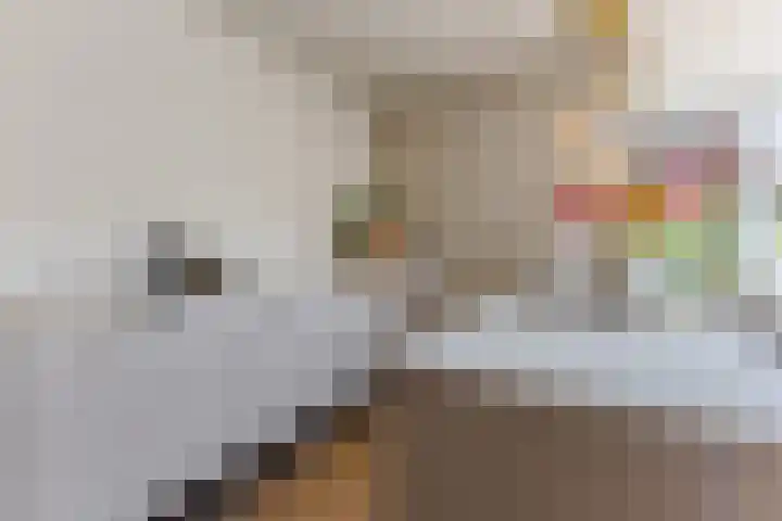 Zandweg 84 Wormer thumbnail 16