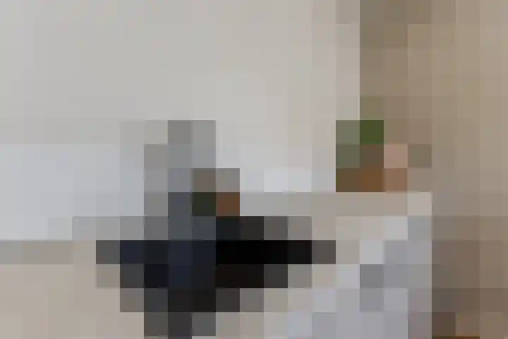 Zandweg 84 Wormer thumbnail 17