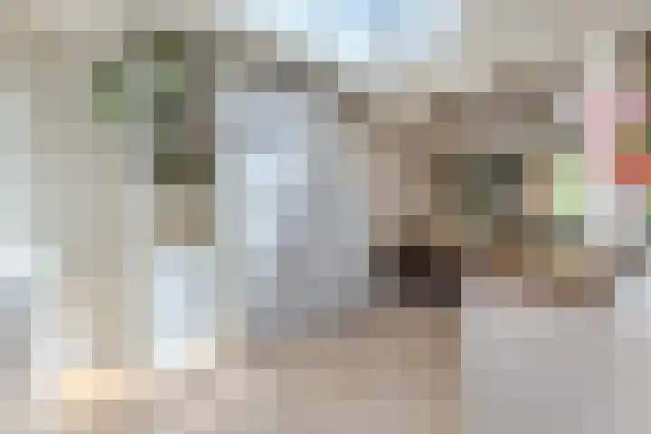 Zandweg 84 Wormer thumbnail 18
