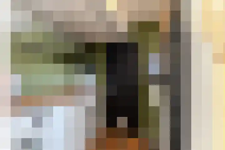 Zandweg 84 Wormer thumbnail 20