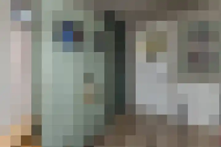 Zandweg 84 Wormer thumbnail 26
