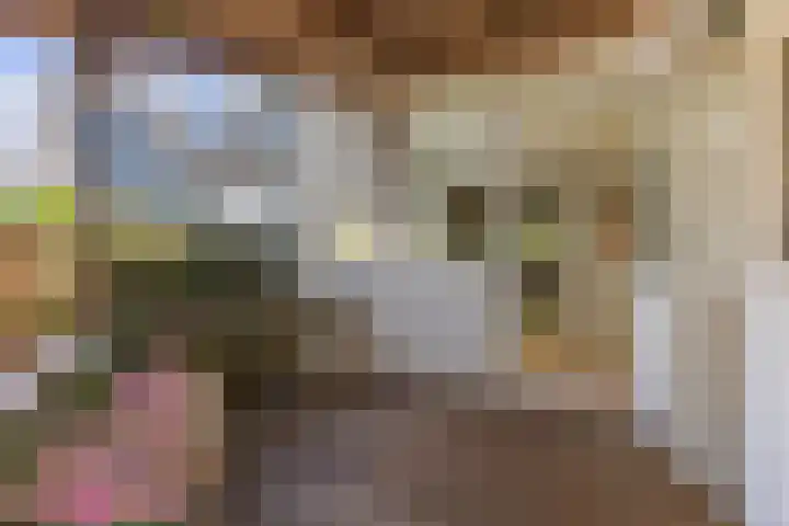 Zandweg 84 Wormer thumbnail 30