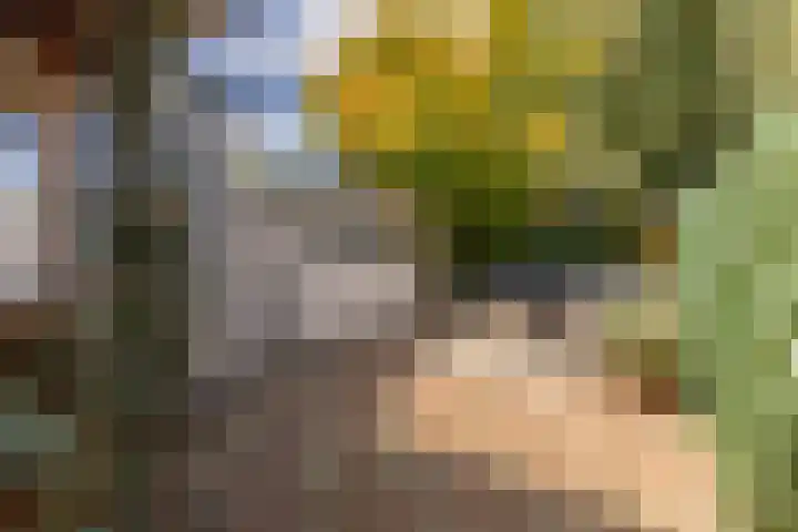 Zandweg 84 Wormer thumbnail 31