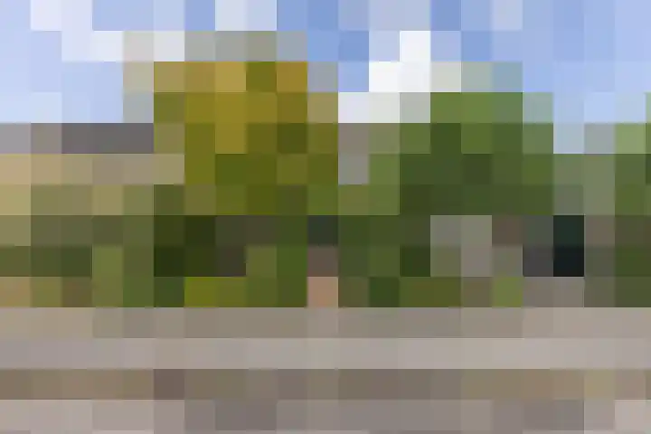 Zandweg 84 Wormer thumbnail 32