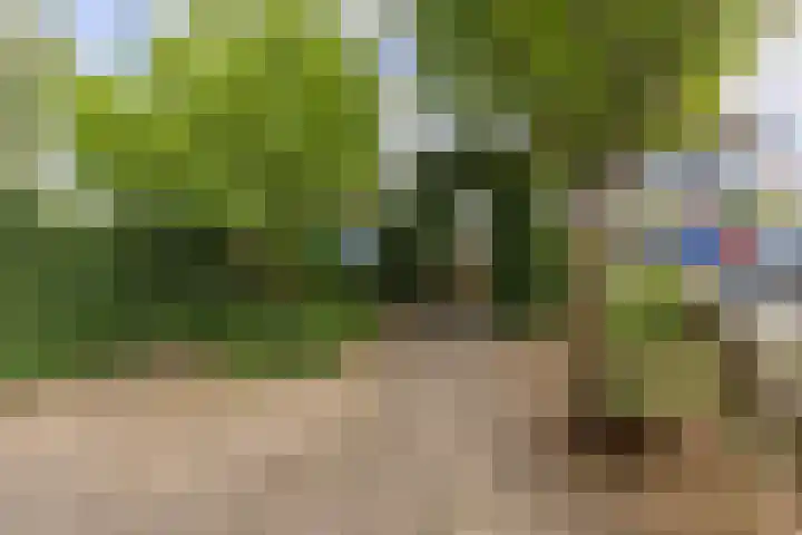 Zandweg 84 Wormer thumbnail 34