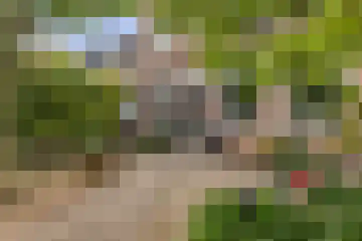 Zandweg 84 Wormer thumbnail 39