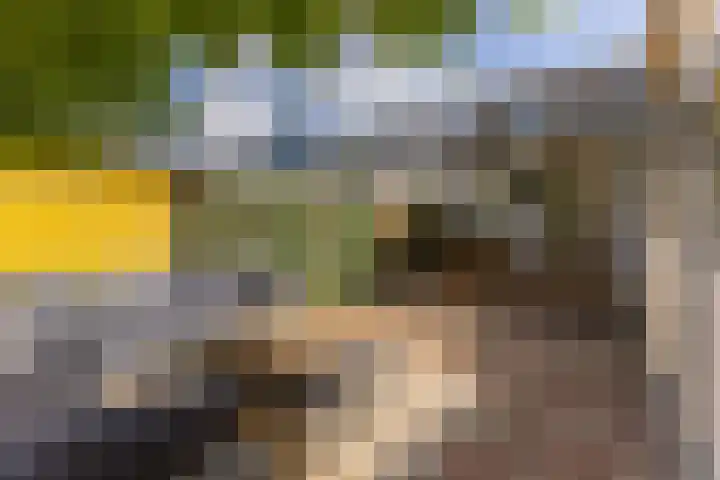 Zandweg 84 Wormer thumbnail 4