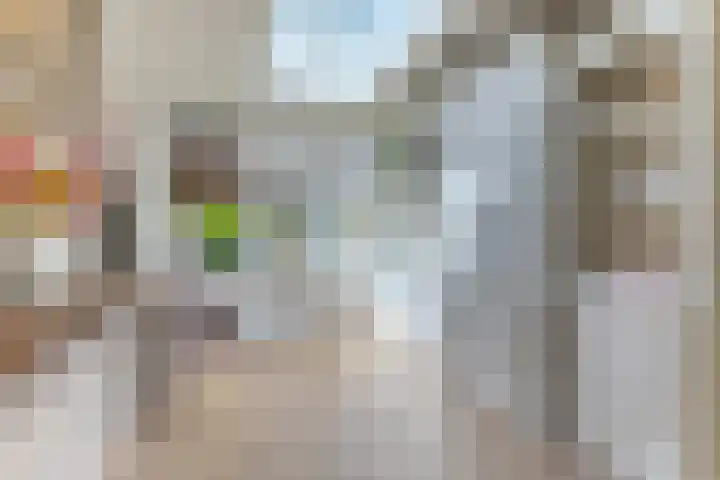 Zandweg 84 Wormer thumbnail 5