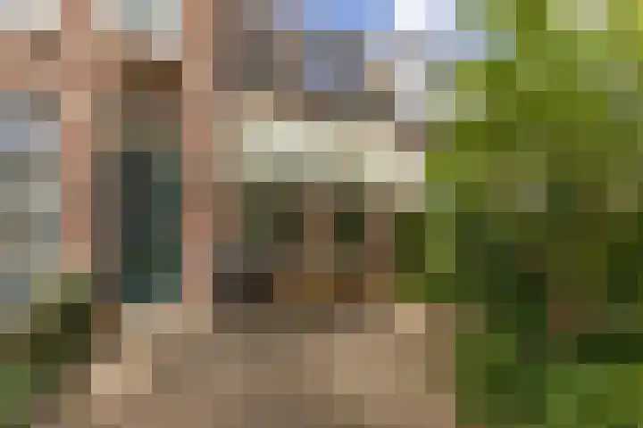 Zandweg 84 Wormer thumbnail 7