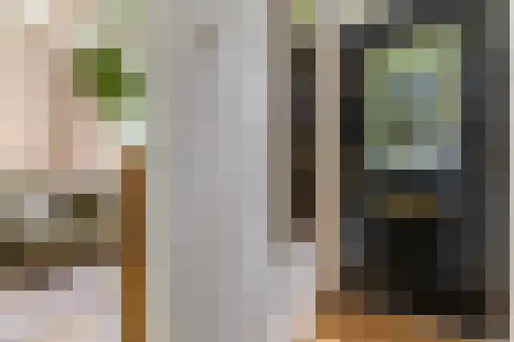Zandweg 84 Wormer thumbnail 8