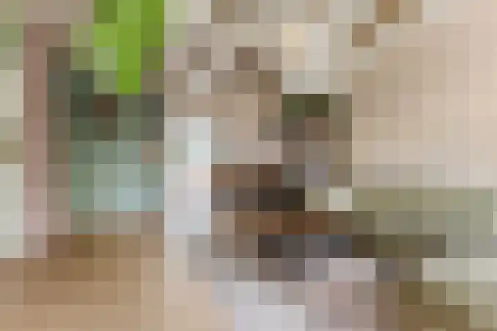 Zandweg 84 Wormer thumbnail 9