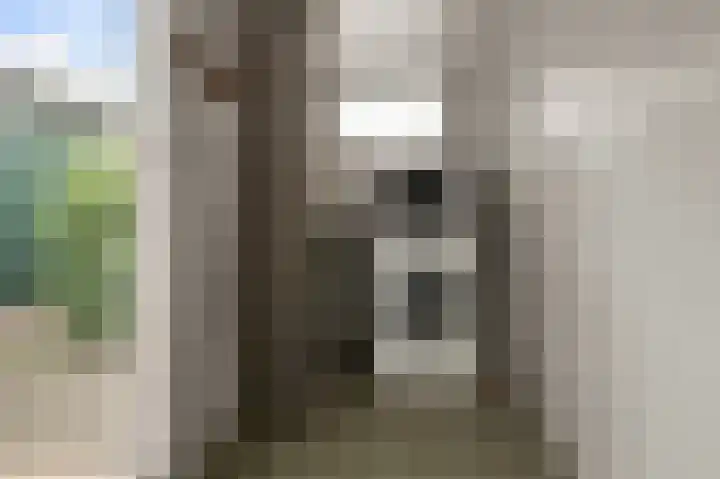 Zandweg 96 Wormer thumbnail 17
