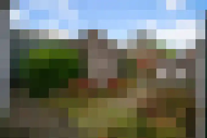 Zandweg 96 Wormer thumbnail 19