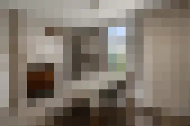 Zandweg 96 Wormer thumbnail 8