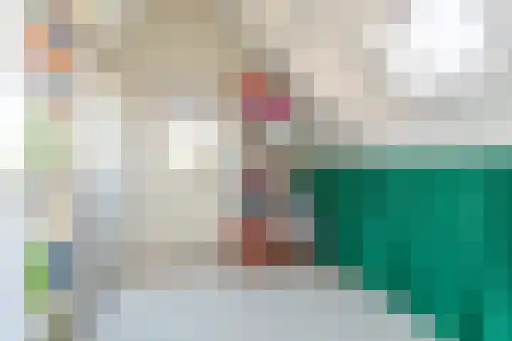Zandweide 24 Klein Zundert thumbnail 34