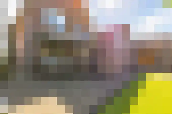 Zandweide 24 Klein Zundert thumbnail 38