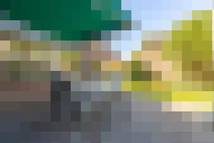 Zandweide 24 Klein Zundert thumbnail 41