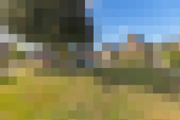 Zandweide 24 Klein Zundert thumbnail 6