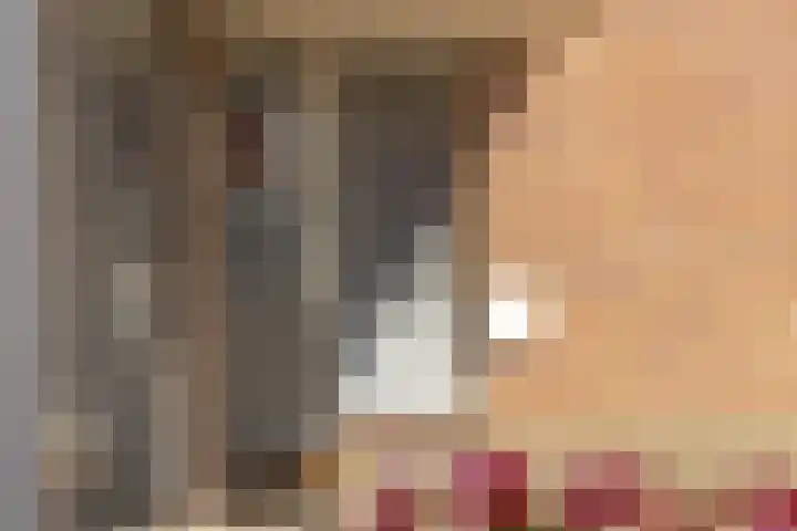 Zandweide 24 Klein Zundert thumbnail 7