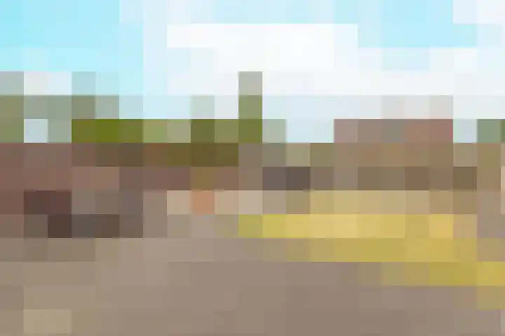 Zandweide 35 Klein Zundert thumbnail 43