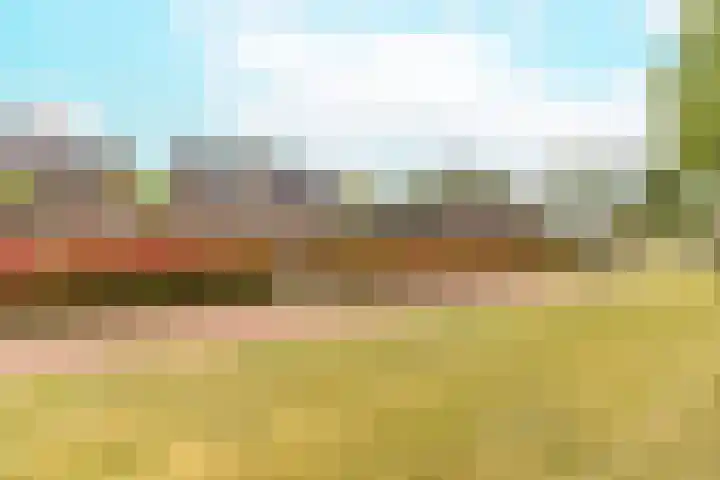 Zandweide 35 Klein Zundert thumbnail 47