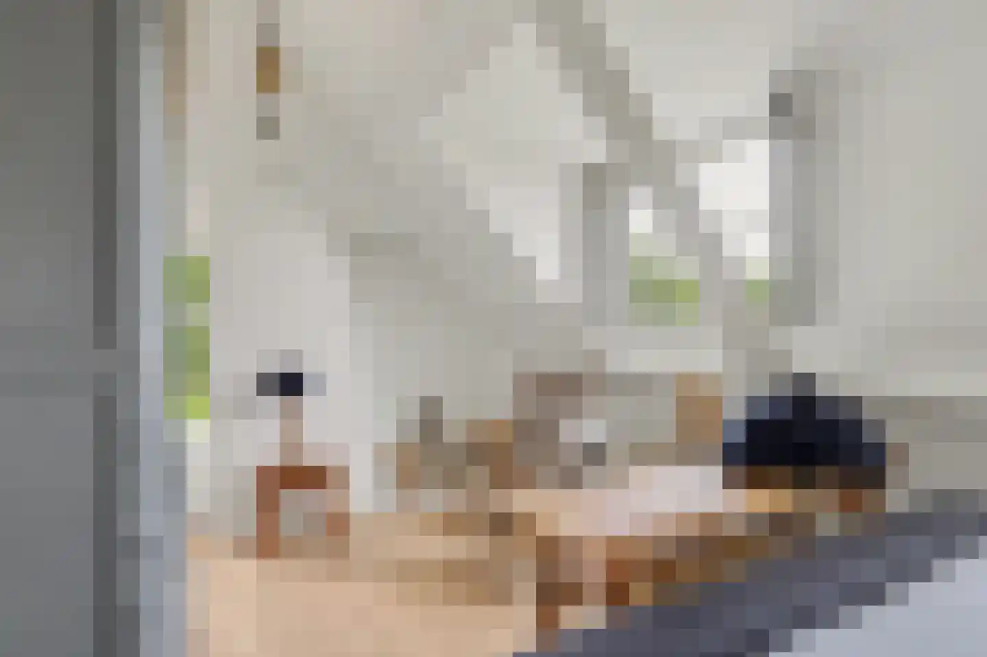 Zandwekken 3 Serooskerke thumbnail 32