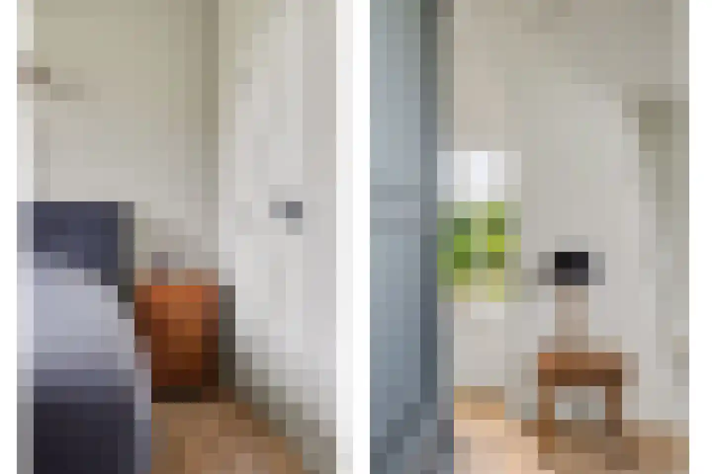 Zandwekken 3 Serooskerke thumbnail 34