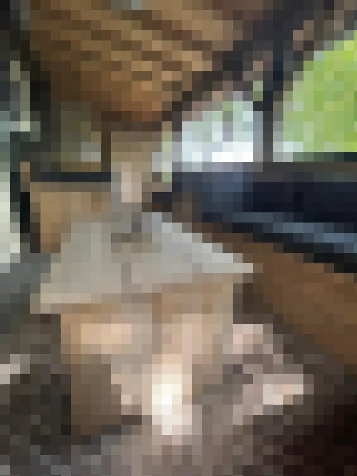 Zandwekken 3 Serooskerke thumbnail 36