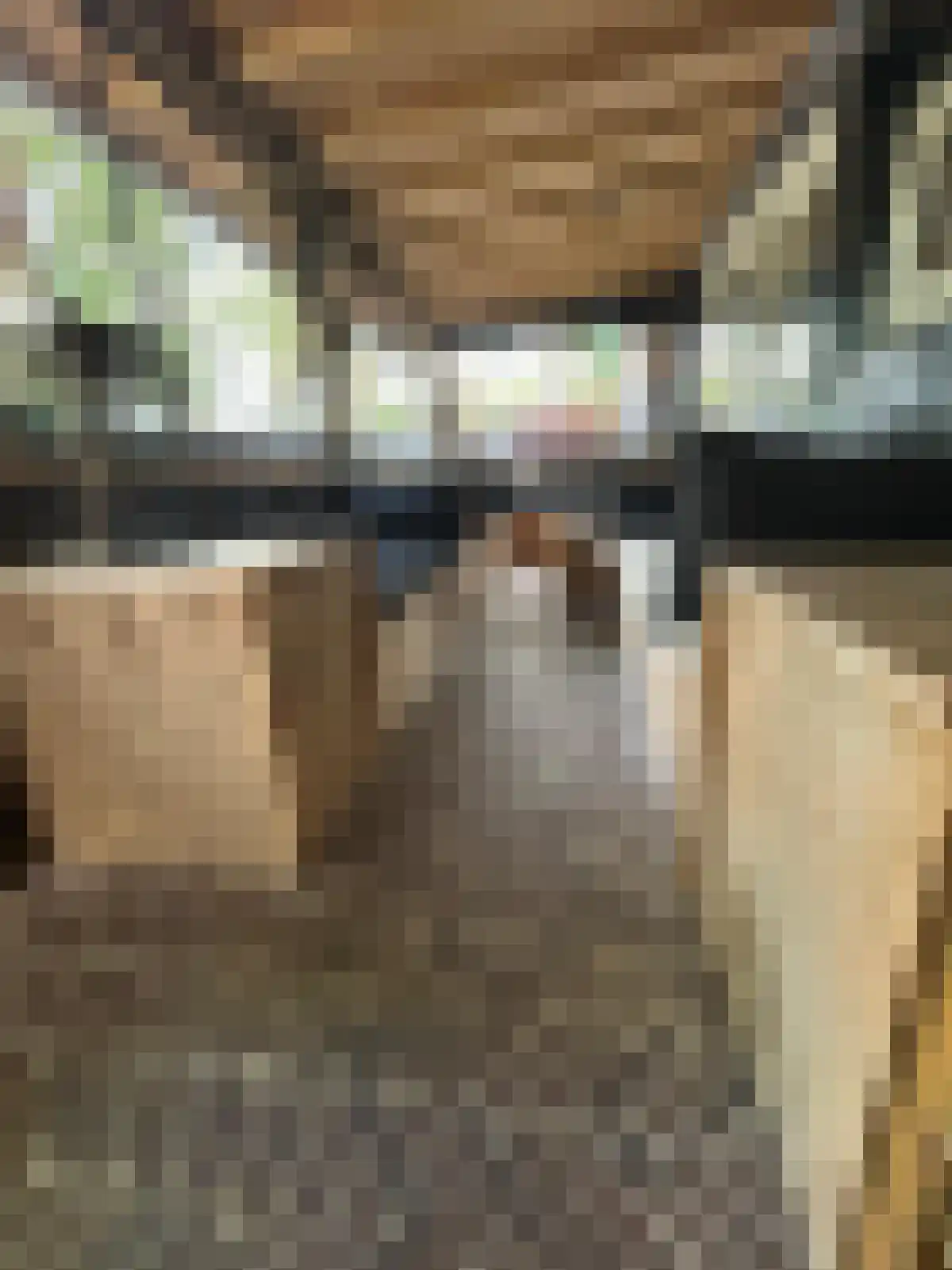Zandwekken 3 Serooskerke thumbnail 37