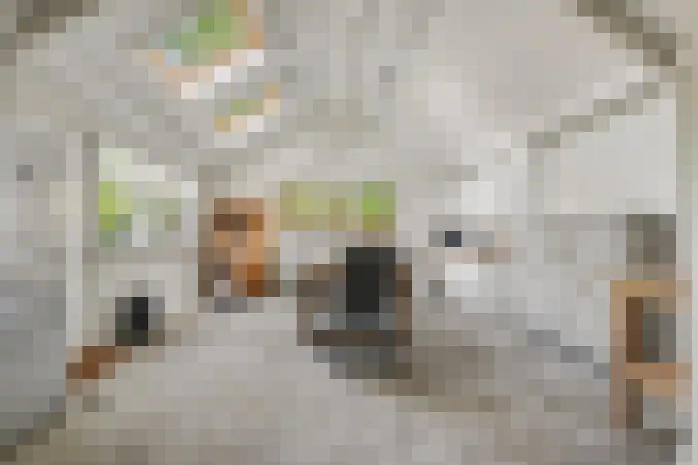 Zandwekken 3 Serooskerke thumbnail 39