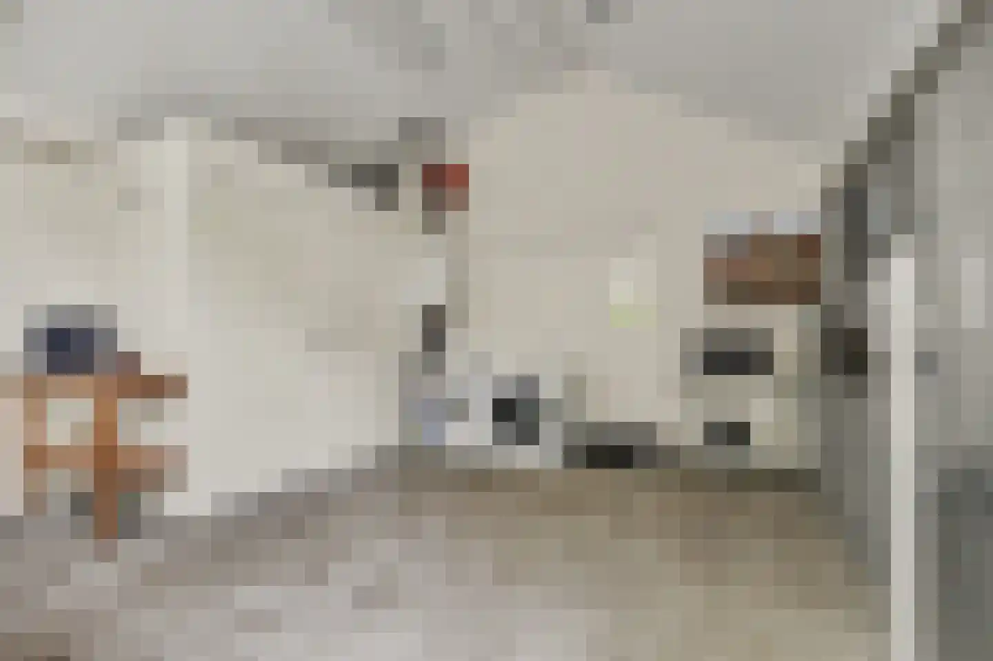 Zandwekken 3 Serooskerke thumbnail 40