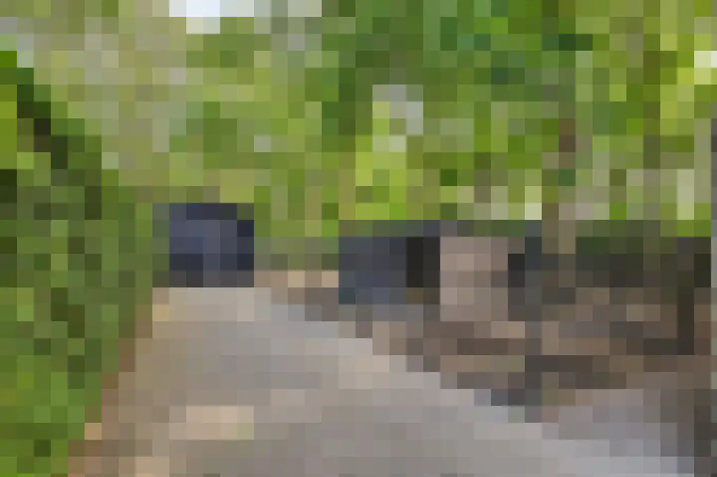 Zandwekken 3 Serooskerke thumbnail 45