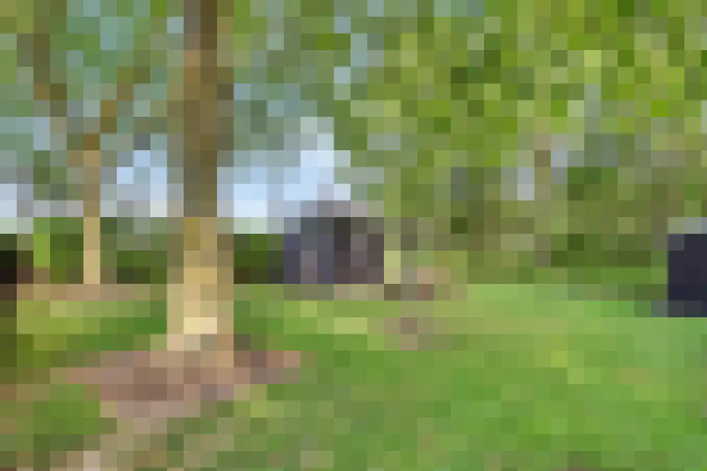 Zandwekken 3 Serooskerke thumbnail 46