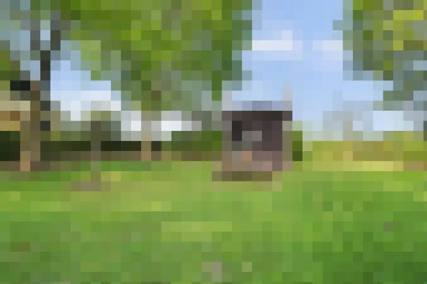 Zandwekken 3 Serooskerke thumbnail 47