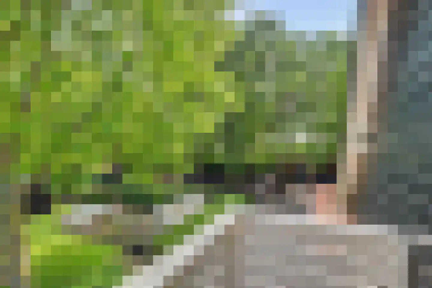 Zandwekken 3 Serooskerke thumbnail 53